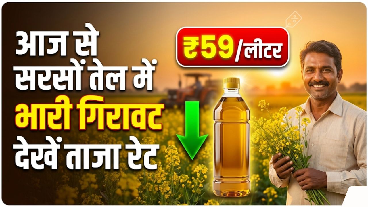 Mustard Oil Price Today