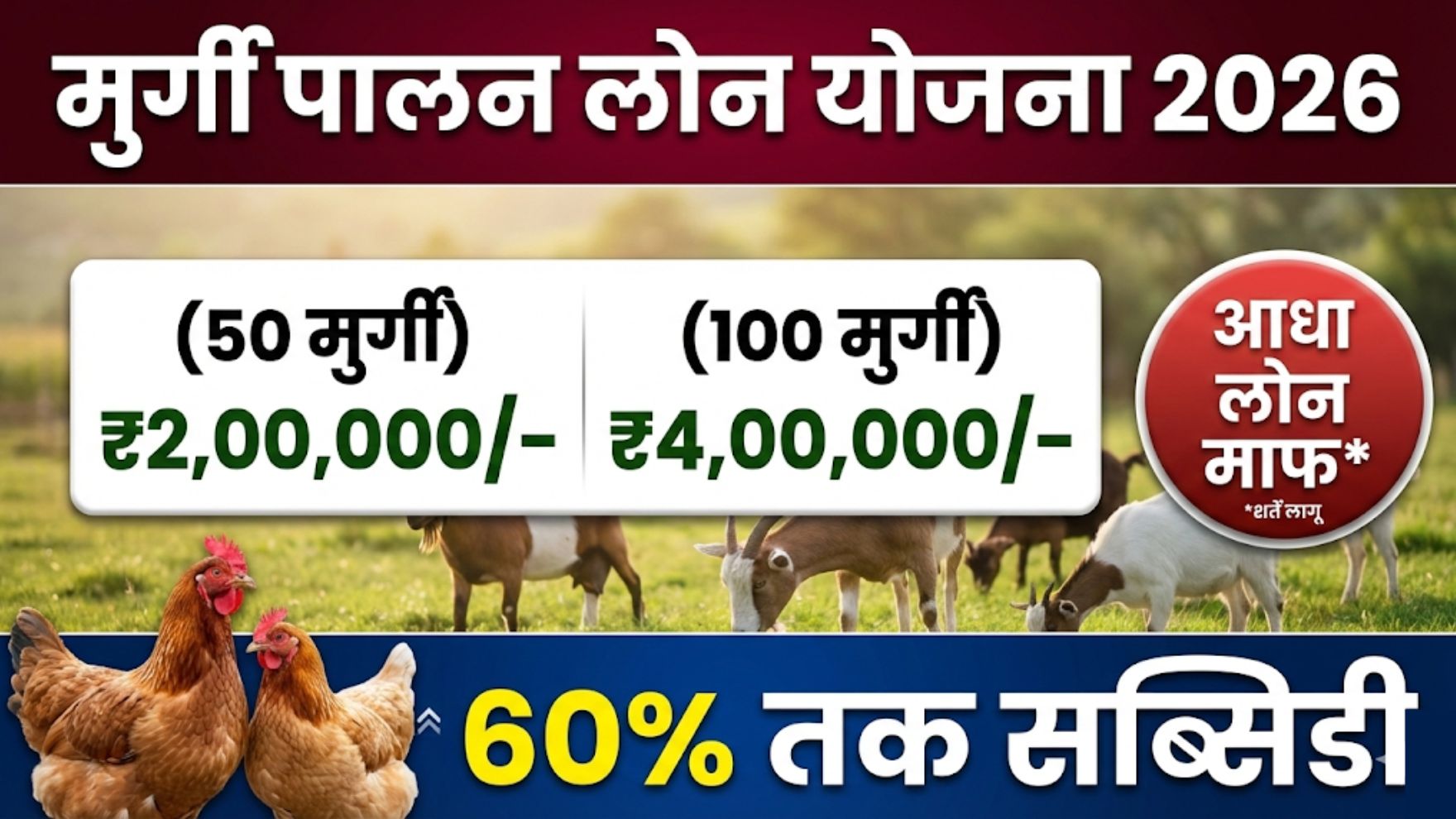 Poultry Loan 2026 Update