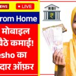 Meesho Work From Home