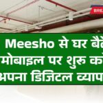Meesho Work From Home 2026