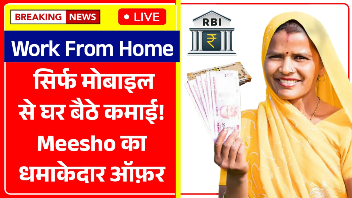 Meesho Work From Home