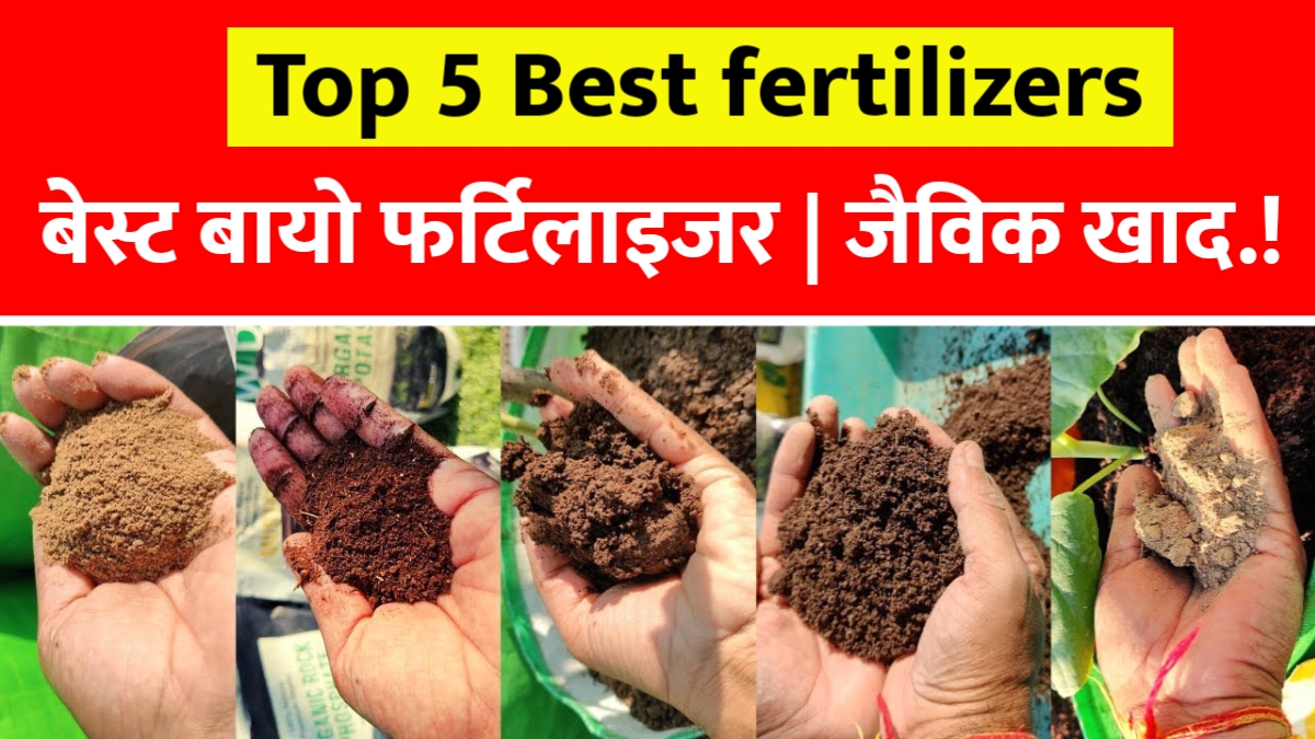 Top 5 Bio Fertilizers